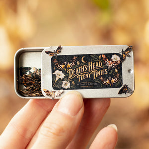 💫New💫 'Death's-Head Hawkmoth' Teeny Tinies