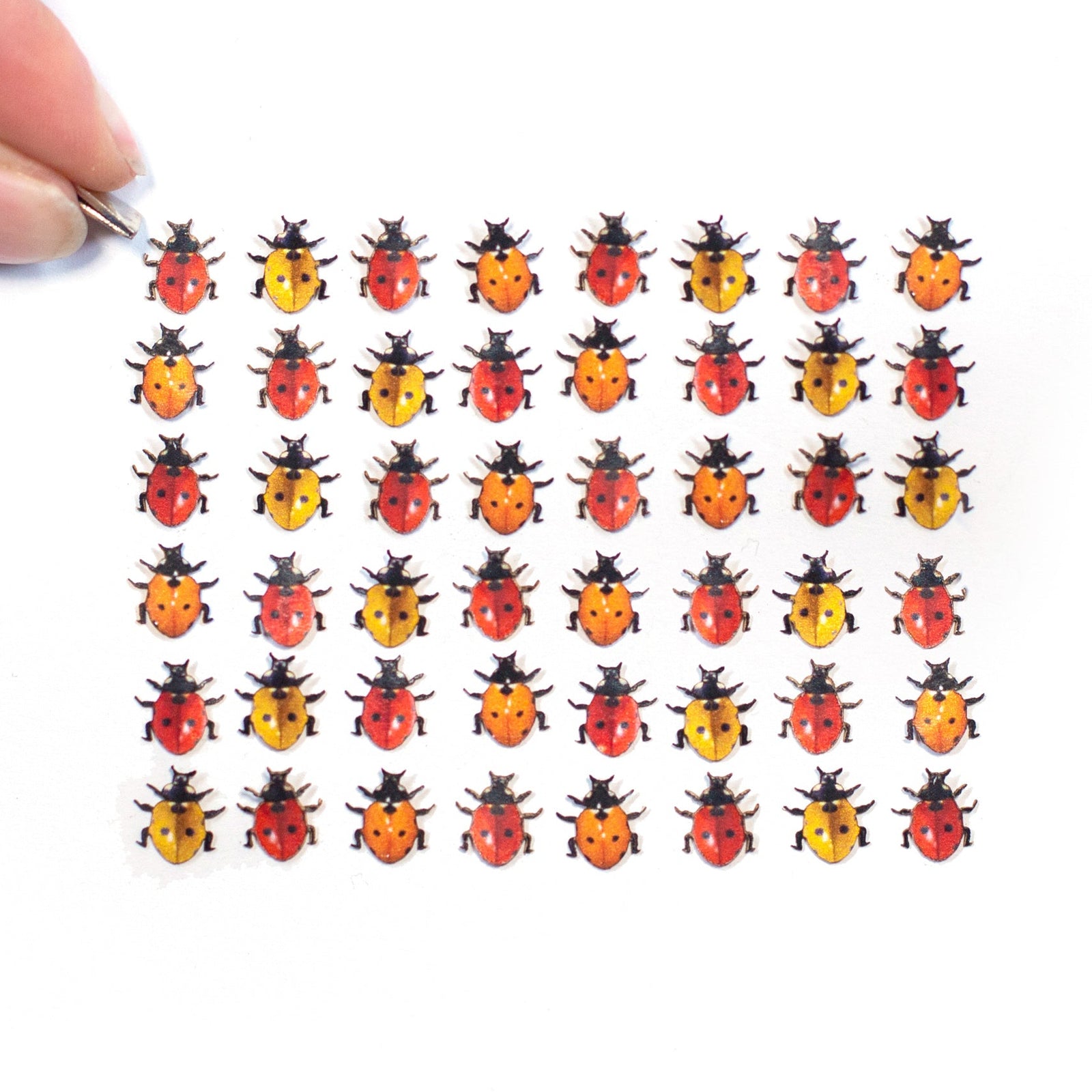 'Little Ladybugs'🐞