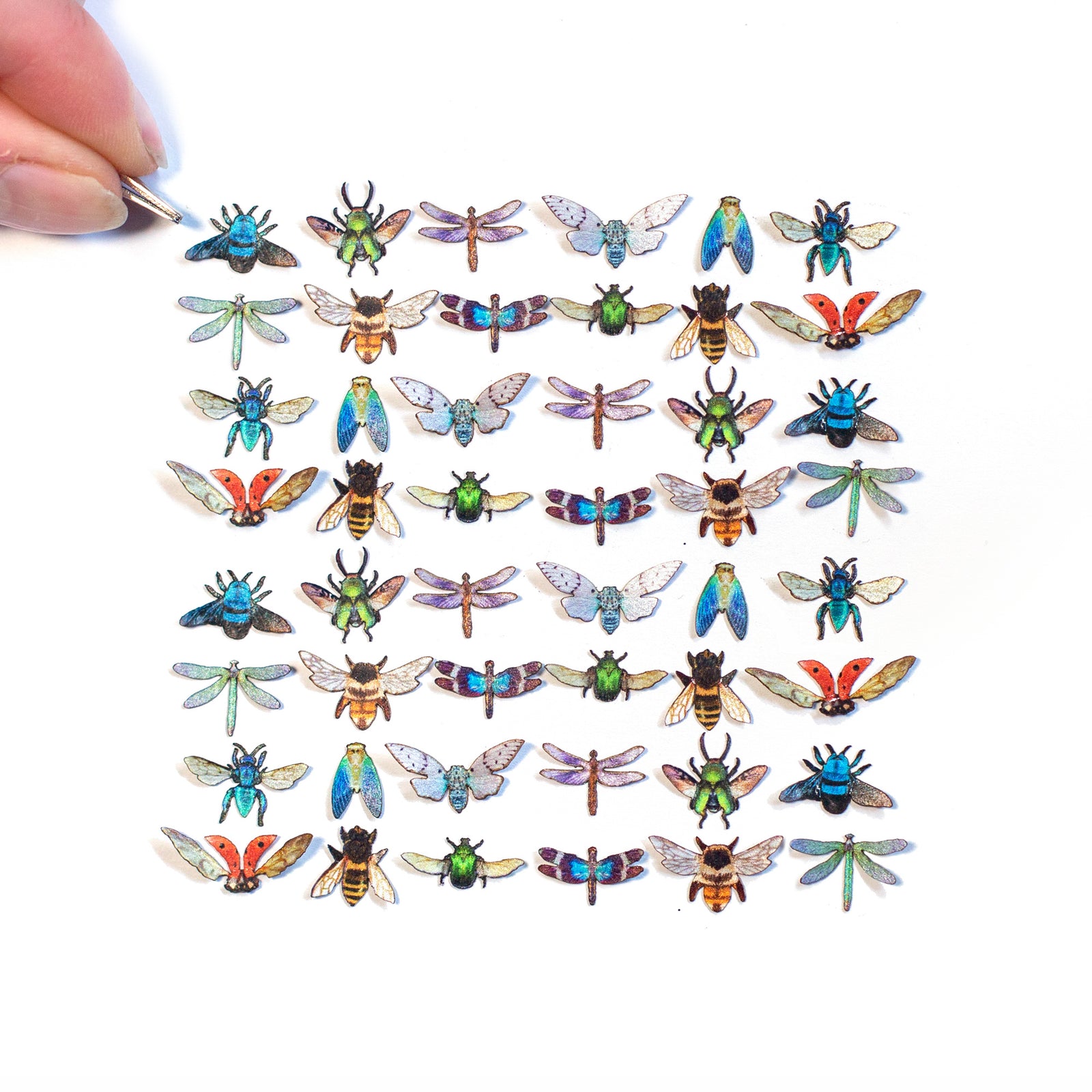 'Winged Wonders' Teeny Tinies