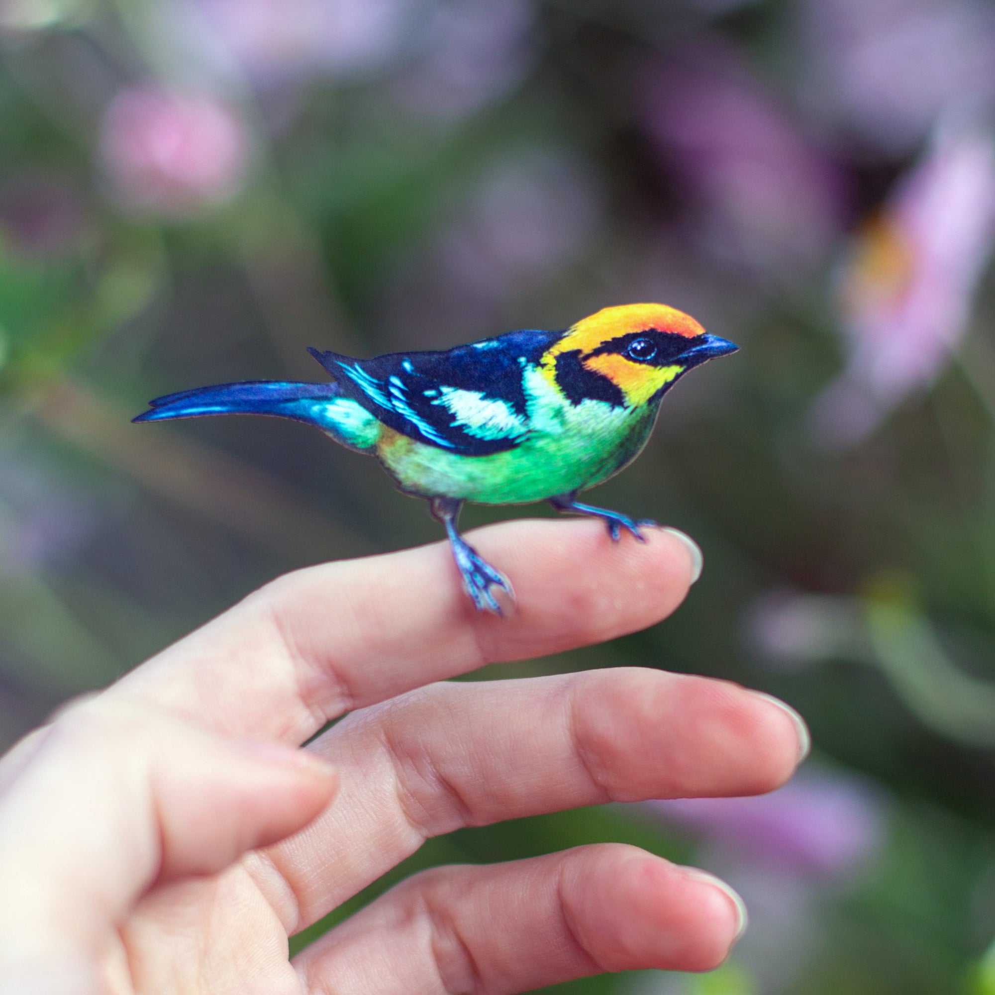 💫New💫 The Echo Collection - 'The Flutter & Flight Series'