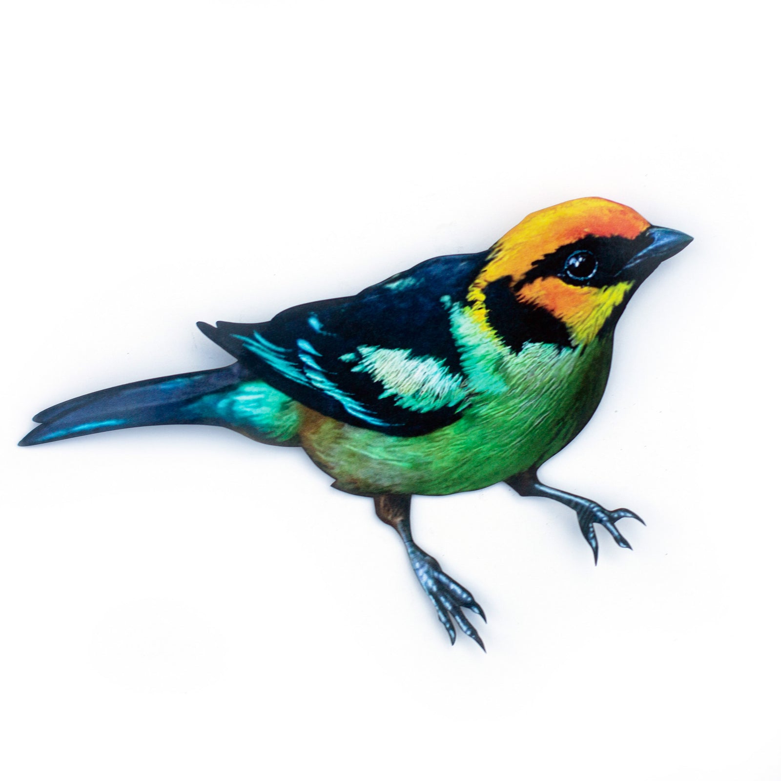 💫New💫 Flame-Faced Tanager (life-sized, sitting) - 'Feather & Flight'