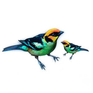 💫New💫 Flame-Faced Tanager (life-sized, sitting) - 'Feather & Flight'