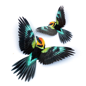 💫New💫 Flame-Faced Tanager  - 'Feather & Flight'
