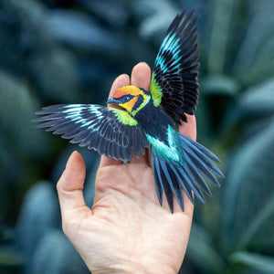 💫New💫 Flame-Faced Tanager  - 'Feather & Flight'