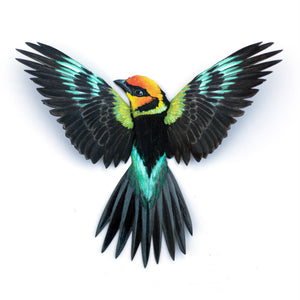 💫New💫 Flame-Faced Tanager  - 'Feather & Flight'
