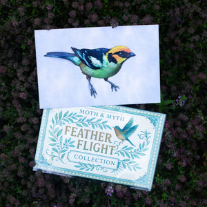 💫New💫 Flame-Faced Tanager (life-sized, sitting) - 'Feather & Flight'