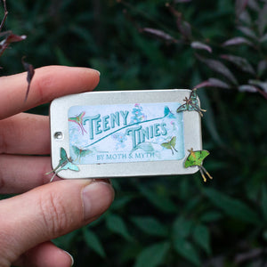 💫New💫 'Moon Moth' Teeny Tinies