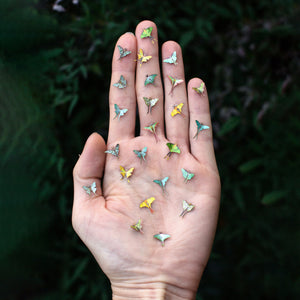 💫New💫 'Moon Moth' Teeny Tinies