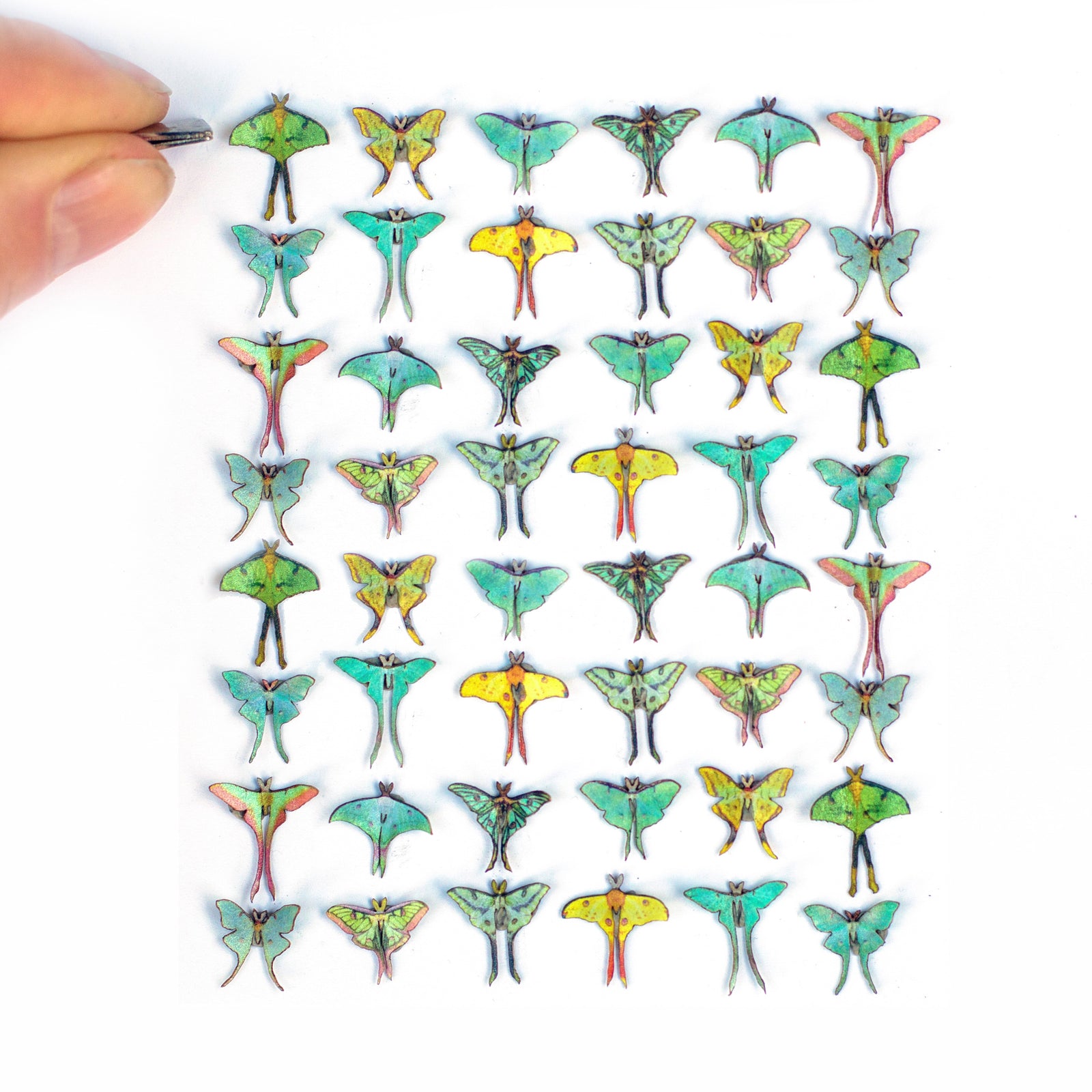 💫New💫 'Moon Moth' Teeny Tinies