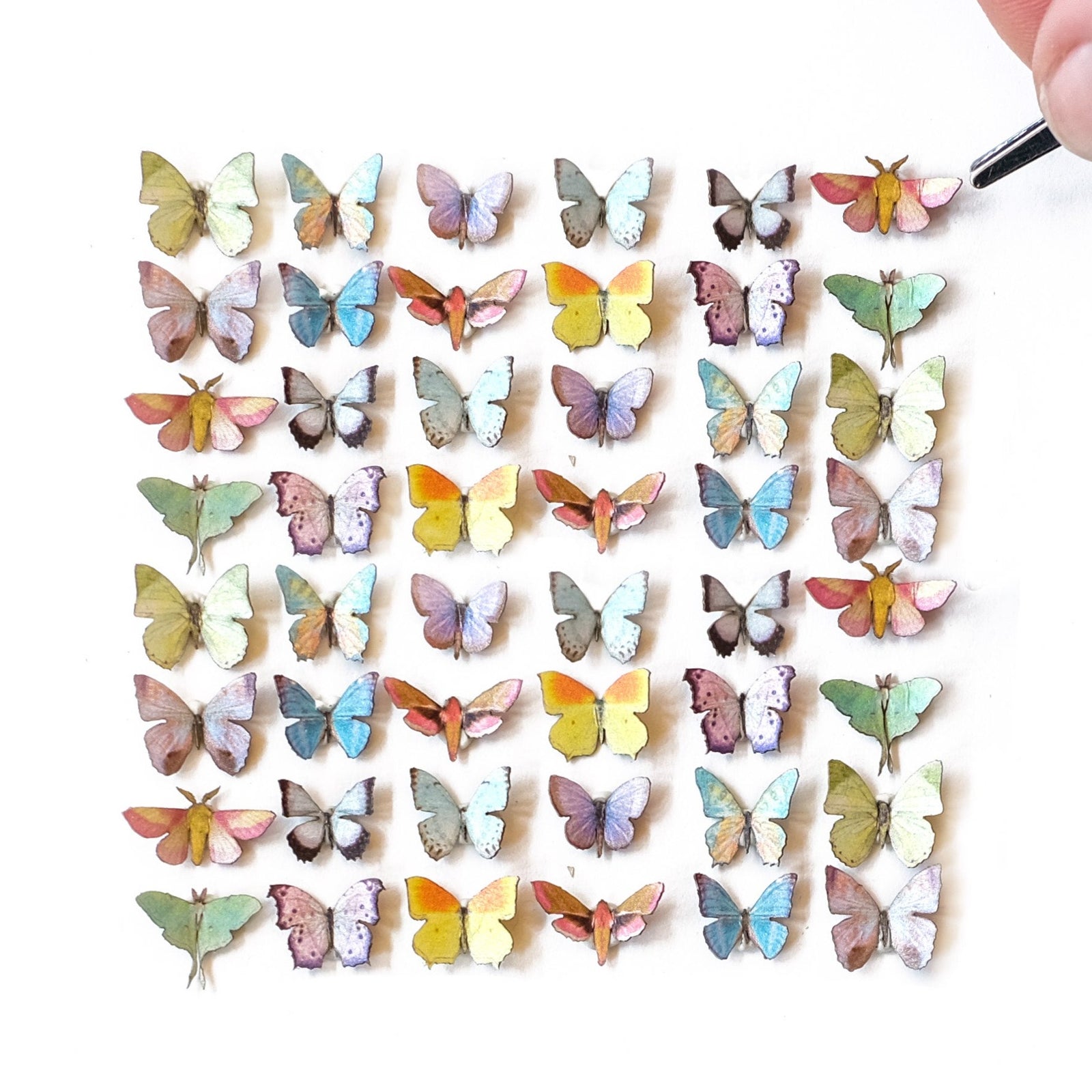 'Prism' Teeny Tinies