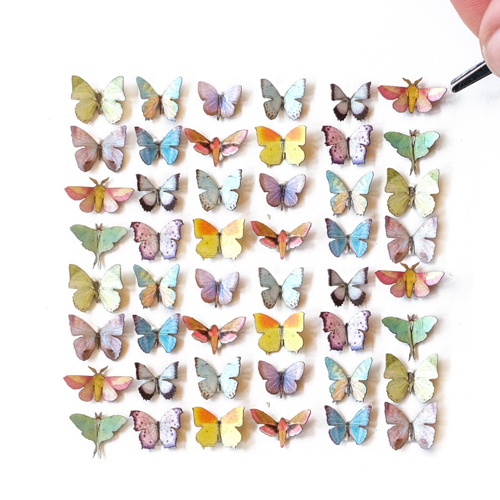 'Prism' Teeny Tinies - Artist Discount