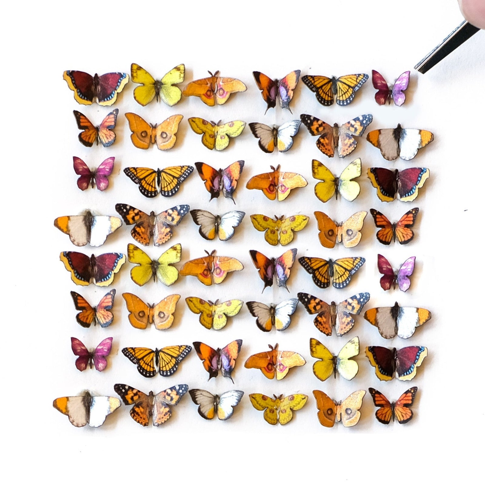 'Sunbeam' Teeny Tinies - Artist Discount