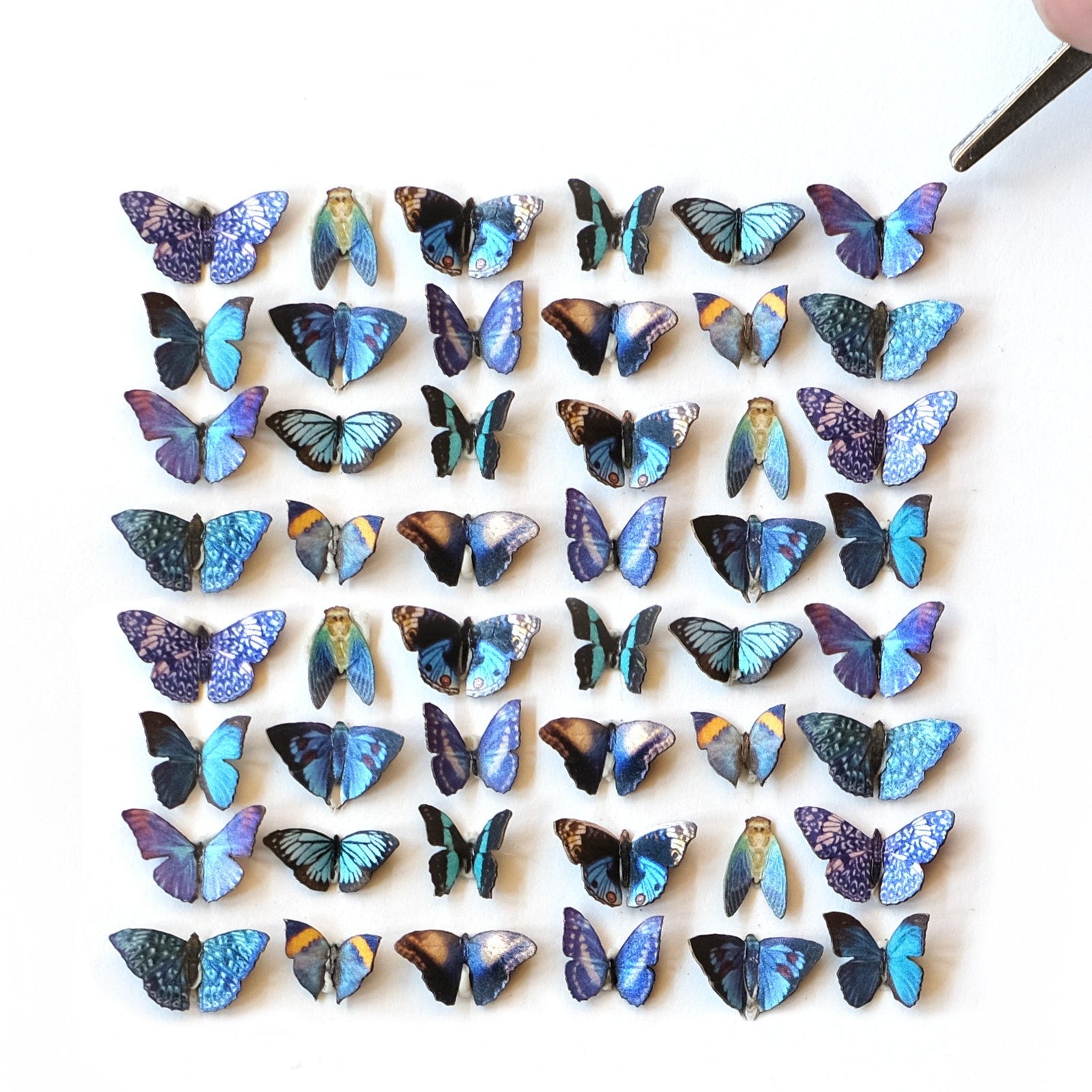 'Twilight' Teeny Tinies