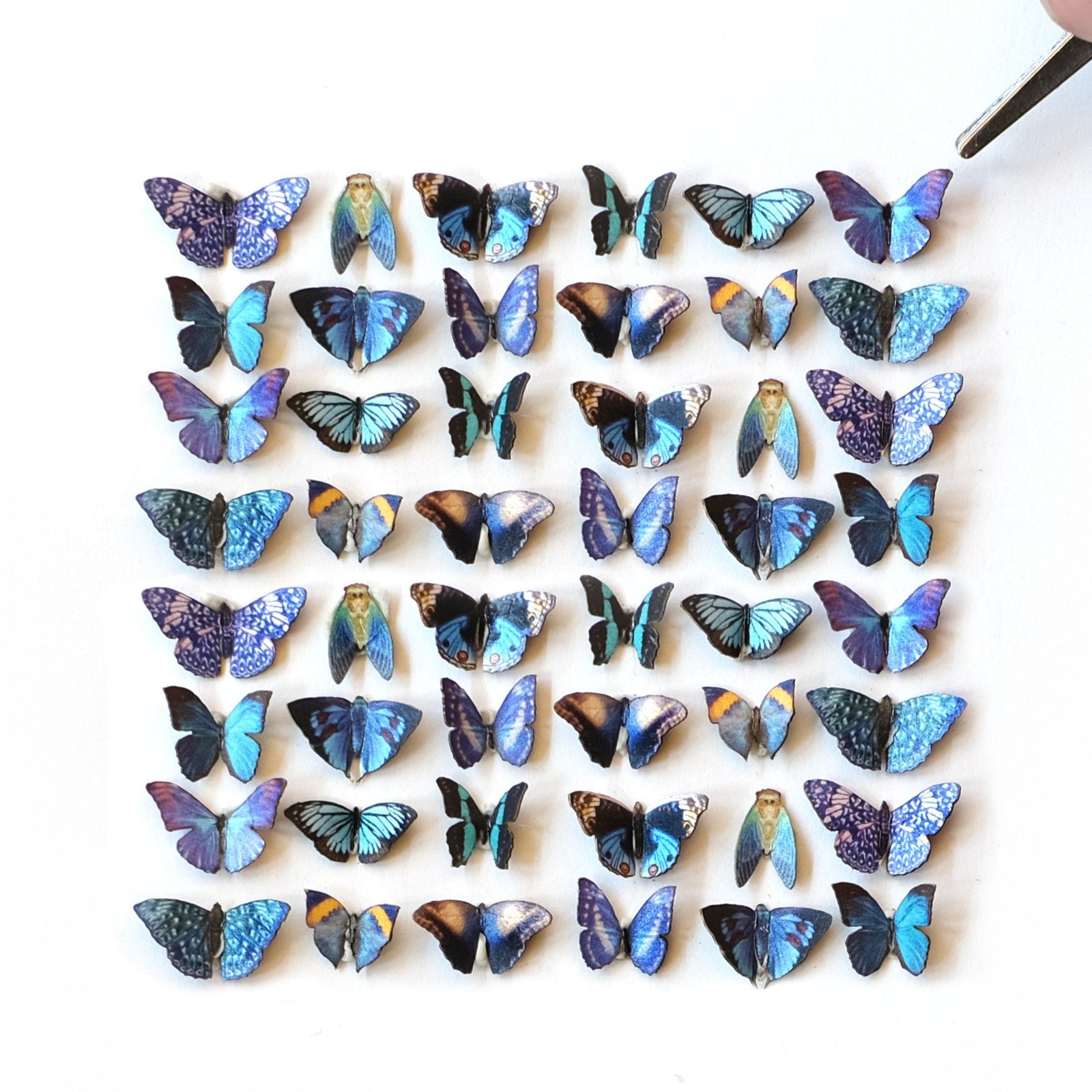 'Twilight' Teeny Tinies - Artist Discount