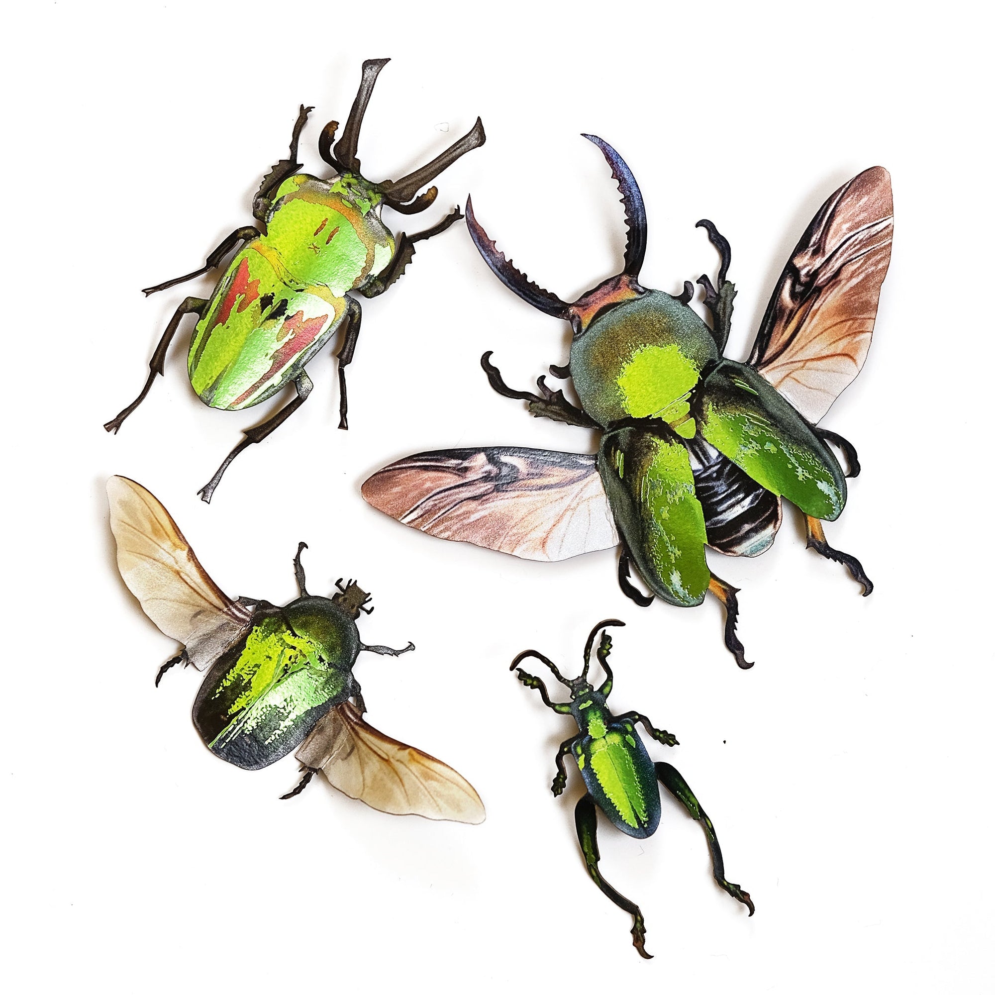'Undergrowth' Beetle Set - Artist Discount