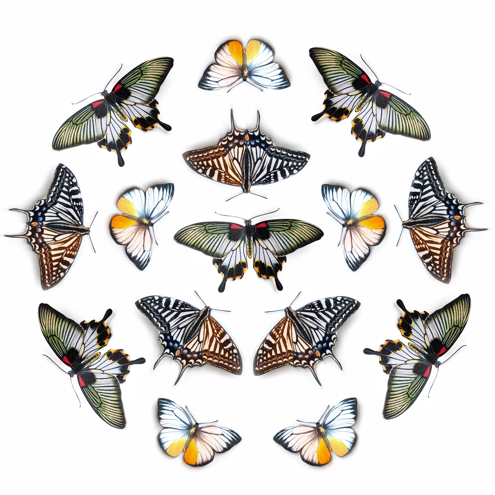 💫New!💫 'Basra' Paper Butterfly Multi-Pack