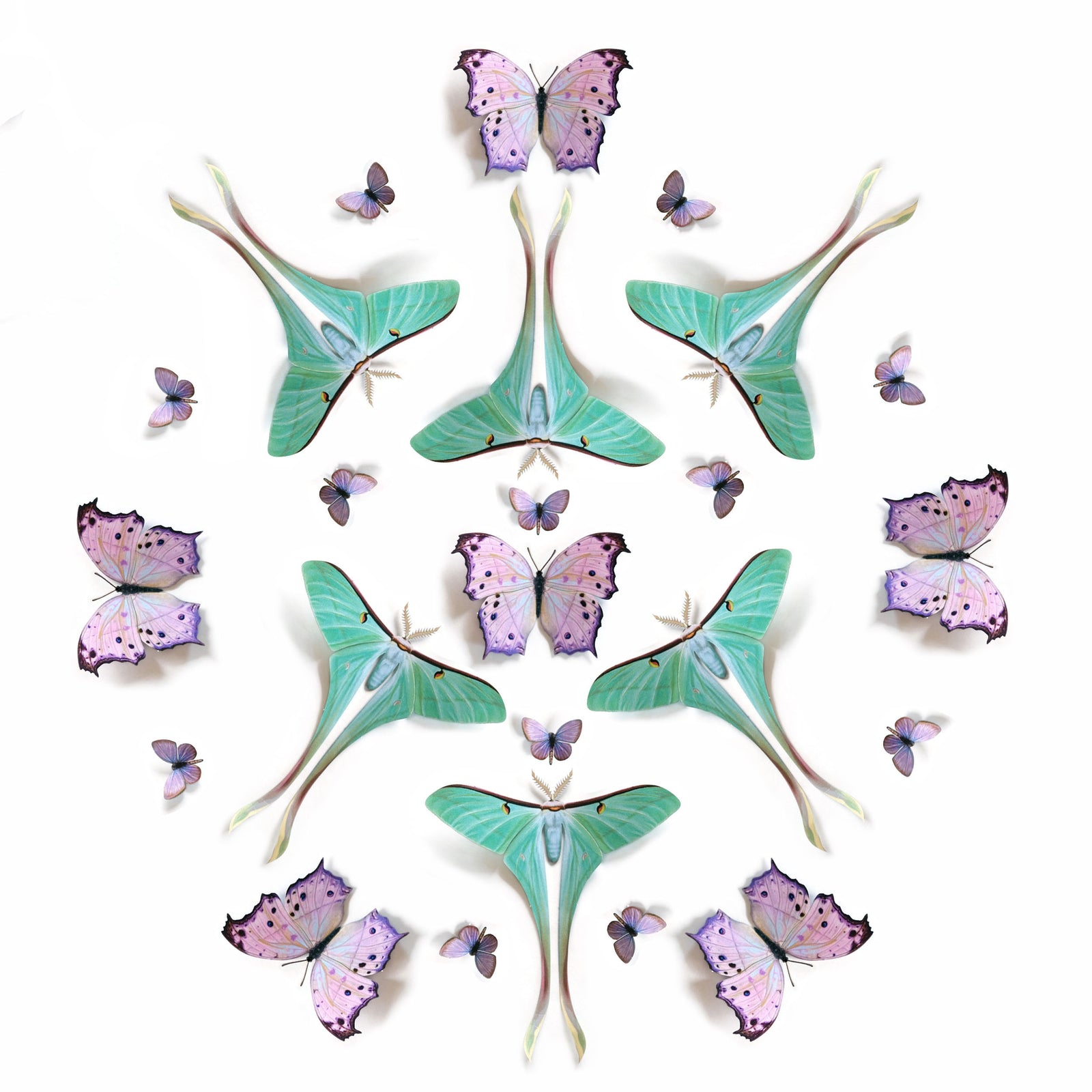 💫New!💫 'Hyacinth' Paper Moth Multi-Pack