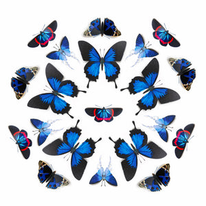 'IOLITE' Paper Butterfly Multi-Pack