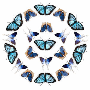 'Lupine' Paper Butterfly Multi-Pack