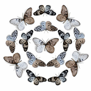 'Marble' Paper Butterfly Multi-Pack