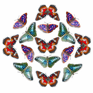 'Quartz' Paper Butterfly Multi-Pack