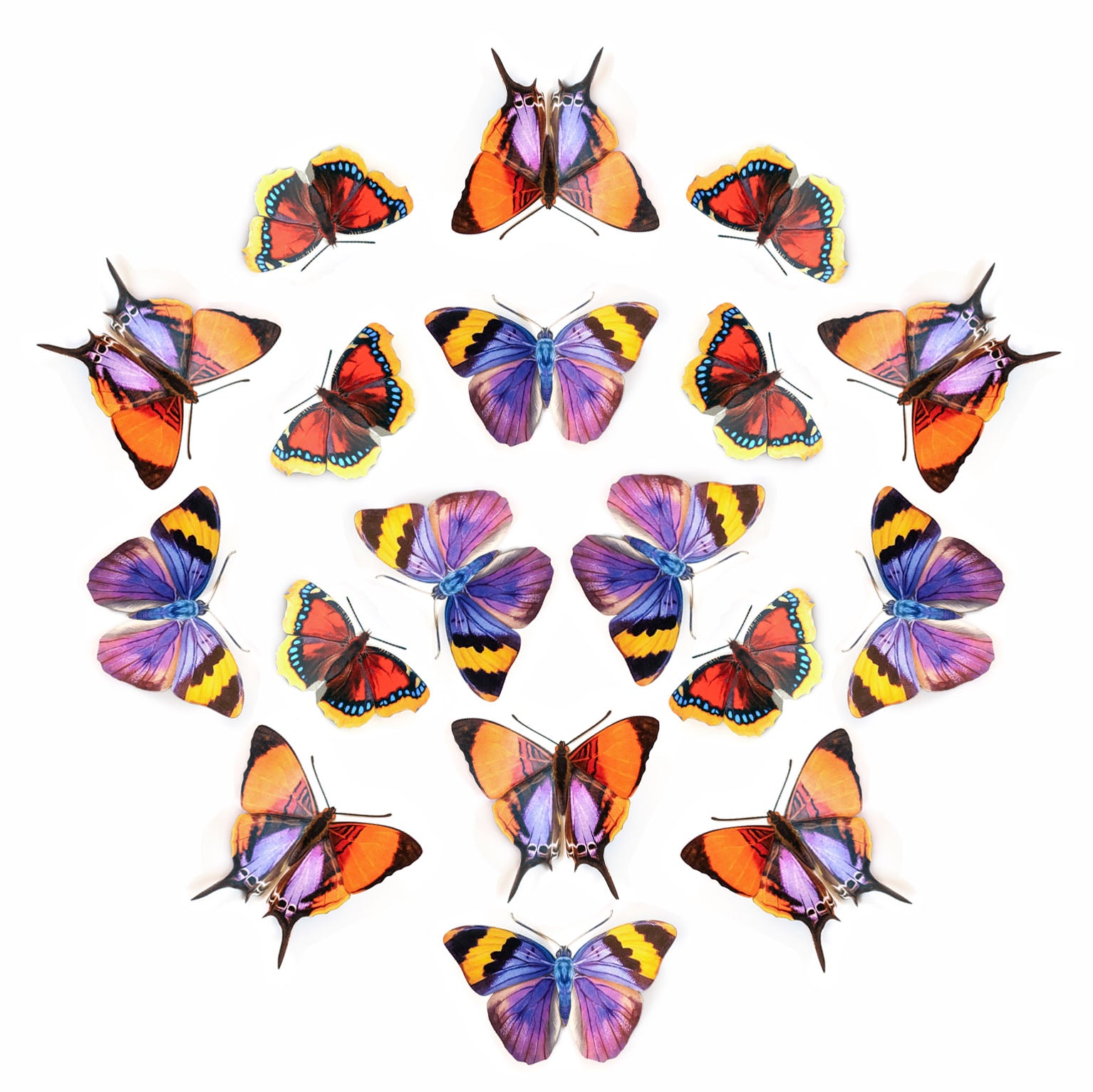💫New!💫 'Sunrise' Paper Butterfly Multi-Pack