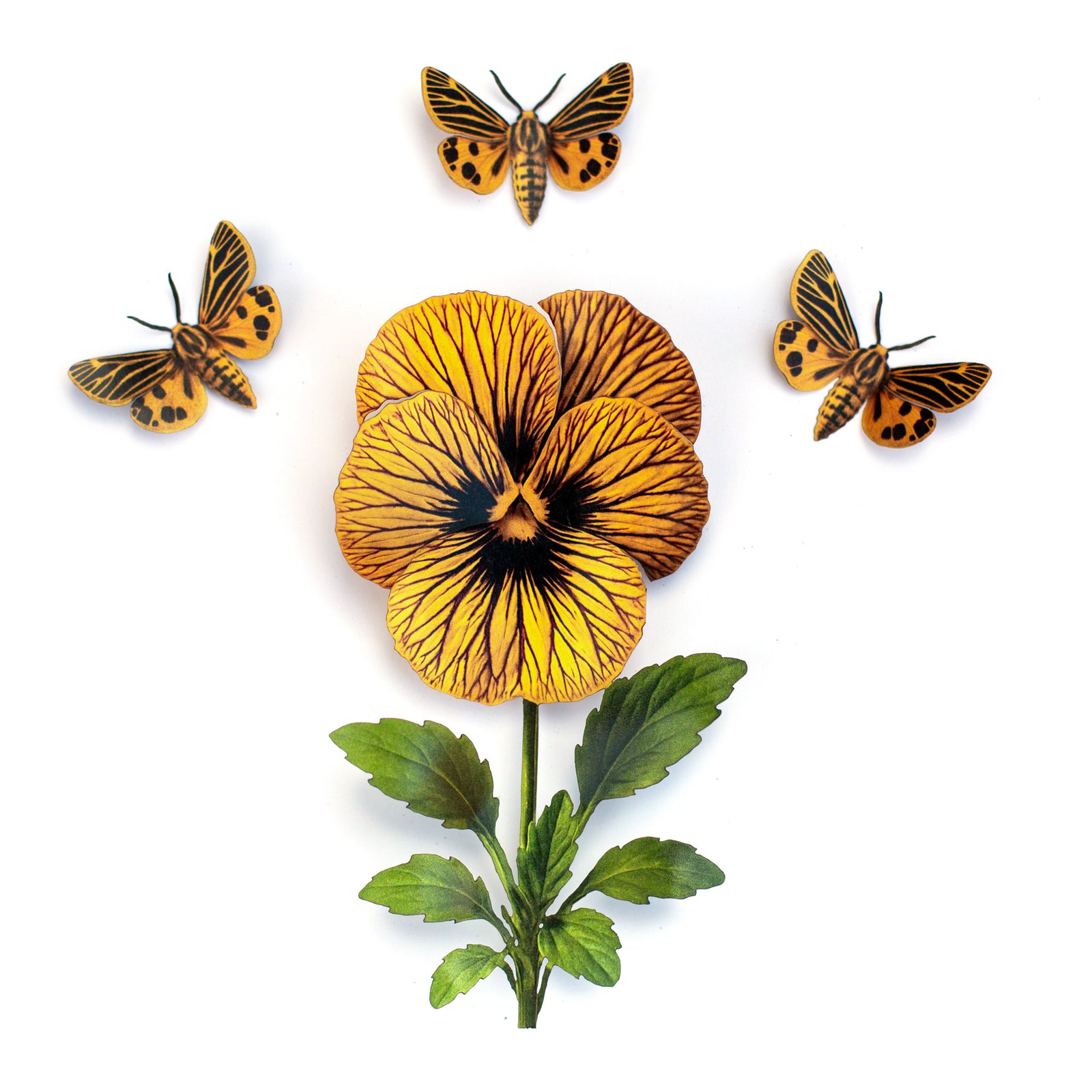 💫New💫 Little Virgin Tiger Moth & Tiger Eye Viola Set