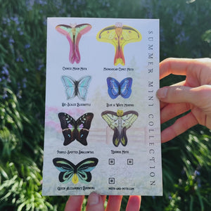 ⚡️New!⚡️ ’Summer' Mini Moth Collection