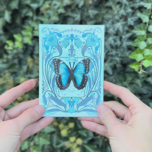 Teal Morpho Butterfly Greeting Card - Set of 4 - Reseller Wholesale