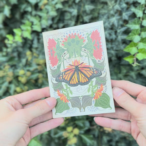 Monarch Butterfly Greeting Card - Set of 4 - Reseller Wholesale