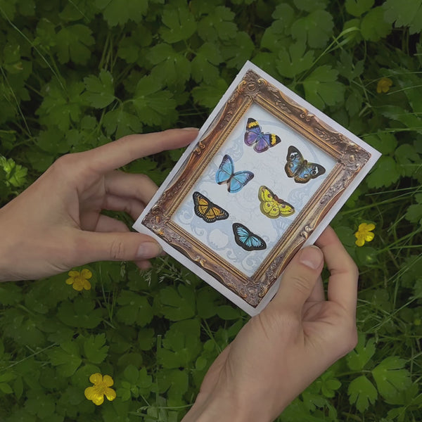Mini Butterfly 'Pop-Out' Greeting Cards - Set of 3 - Moth & Myth
