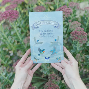 💫New💫 The Echo Collection - 'The Flutter & Flight Series'