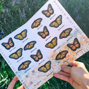 ⚡️New!⚡️ Mini Monarch Collection