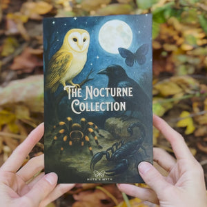 💫New💫 The Nocturne Collection