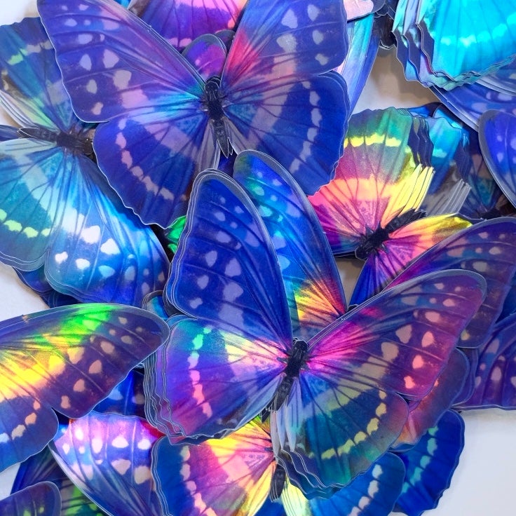 Holographic Morpho Butterfly Sticker Pack Artist Wholesale