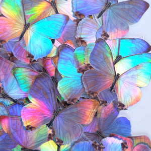 💫Back in Stock💫Holographic Morpho Butterfly Sticker Pack
