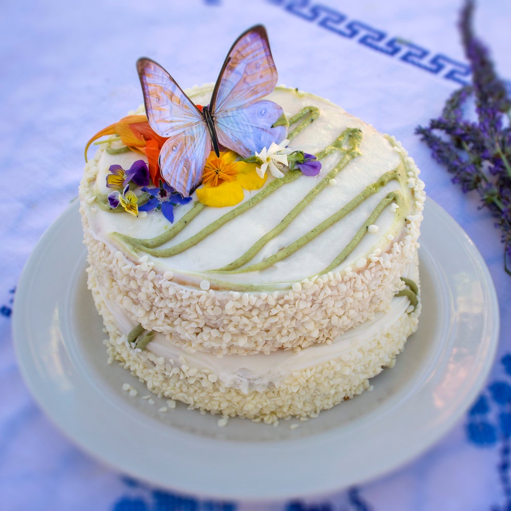 LUNA MOTH BLUE MORPHO BUTTERFLY READING BUNDLE visual data 6