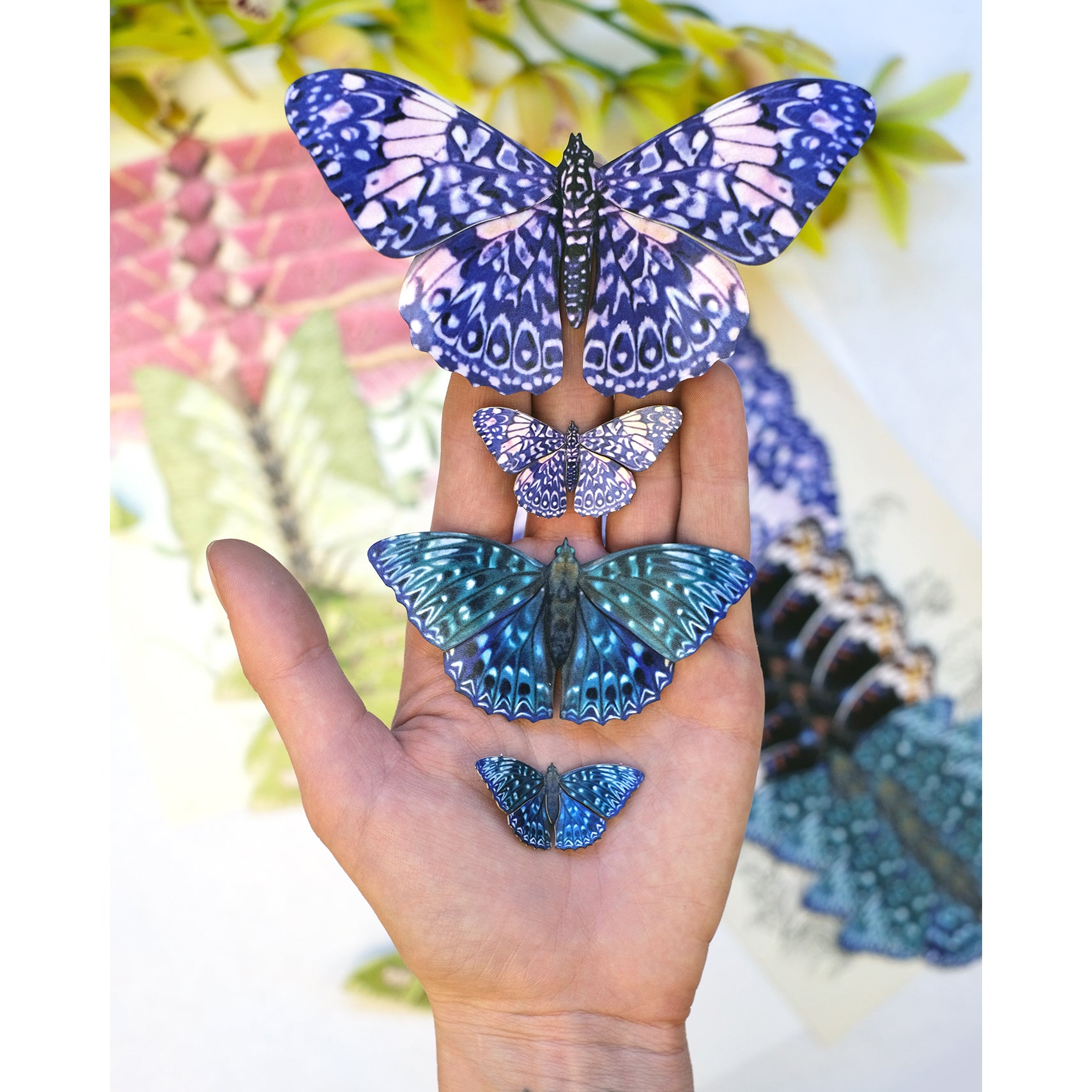 'Celestial' Butterfly Set Artist Wholesale