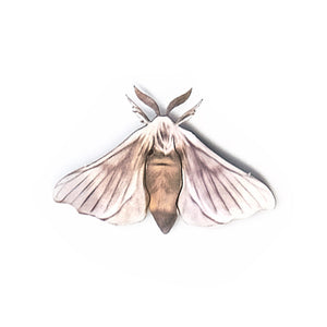 'Antiquarian Silk' moth
