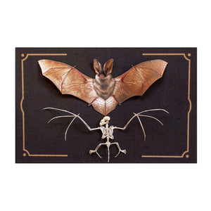 Halloween 'Nocturne' Bat & Bat Sketelon Set Reseller Wholesale