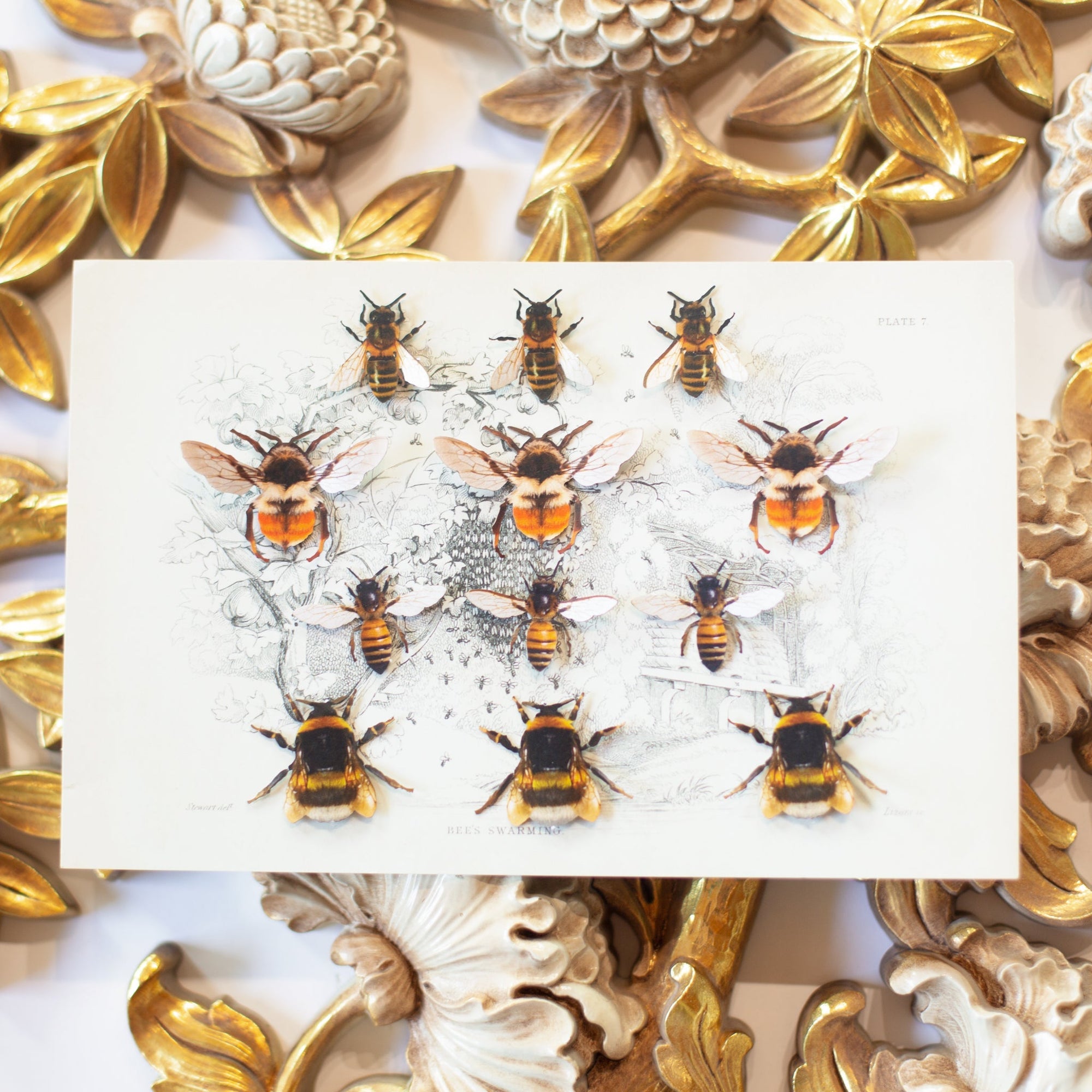'The Bees Knees' Collection Artist Wholesale