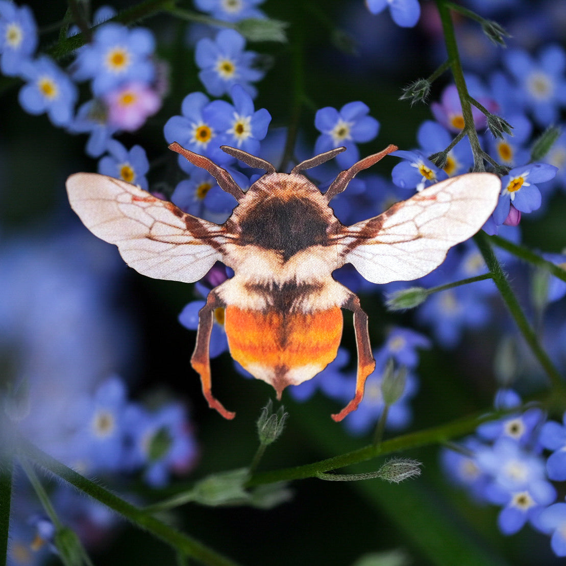 'The Bees Knees' Collection - Artist Discount - Moth & Myth