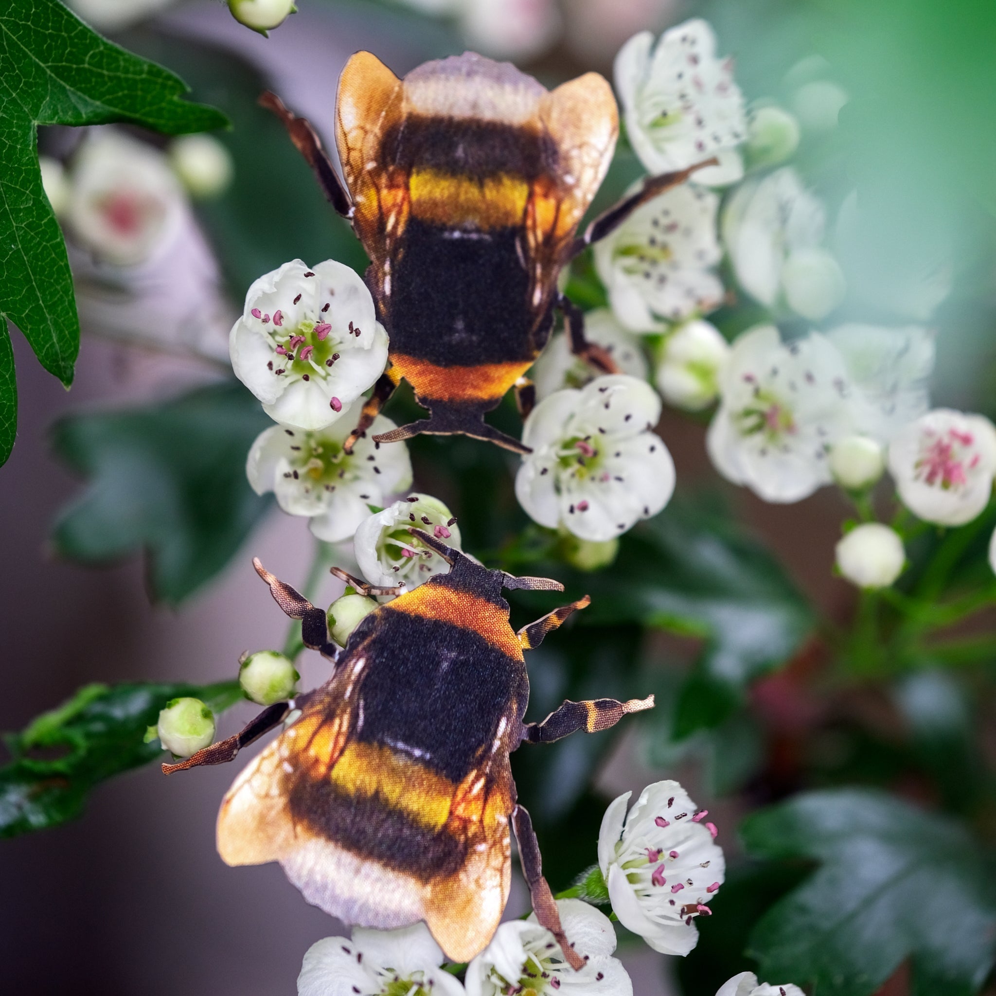 'The Bees Knees' Collection - Artist Discount - Moth & Myth