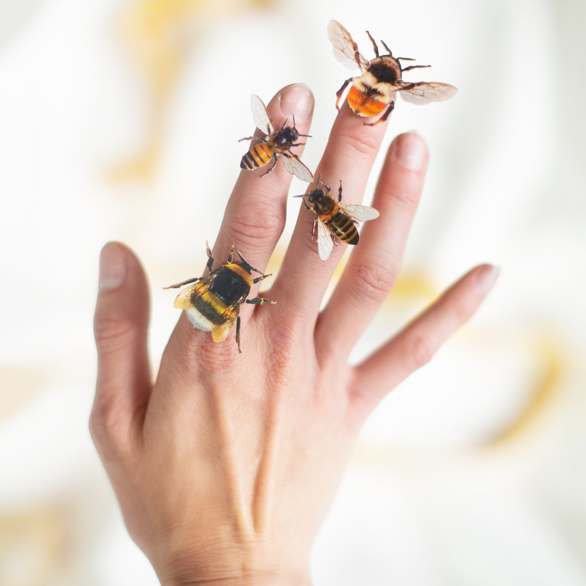 'The Bees Knees' Collection