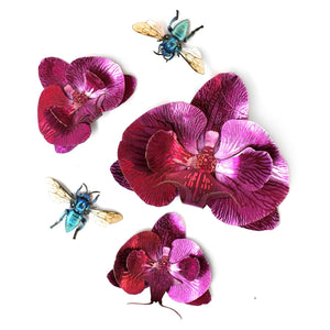 'Bloom' Orchid Set - Reseller Wholesale