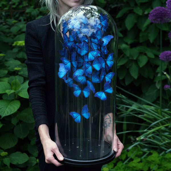 Paper Blue Morpho Butterfly - Moth & Myth