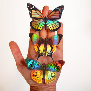Daggerwing & Blue Buckeye Butterfly Holographic Sticker Set - Artist Discount