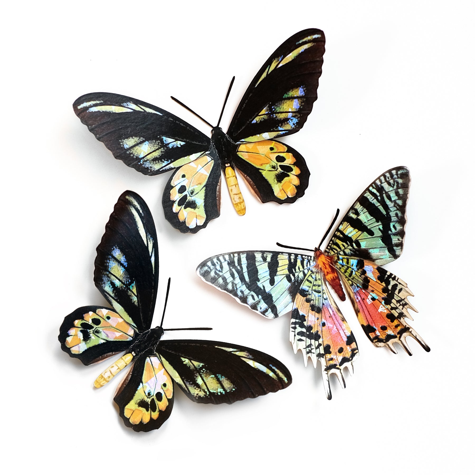 Reseller Wholesale Moth & Myth