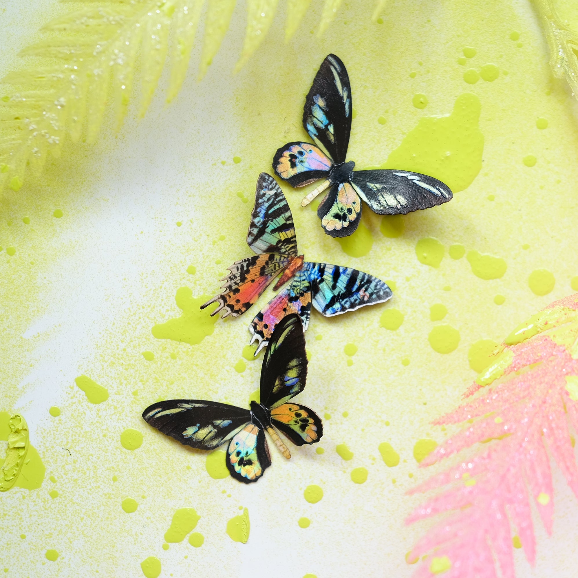 'Sunset' Mini Moth Set Artist Wholesale