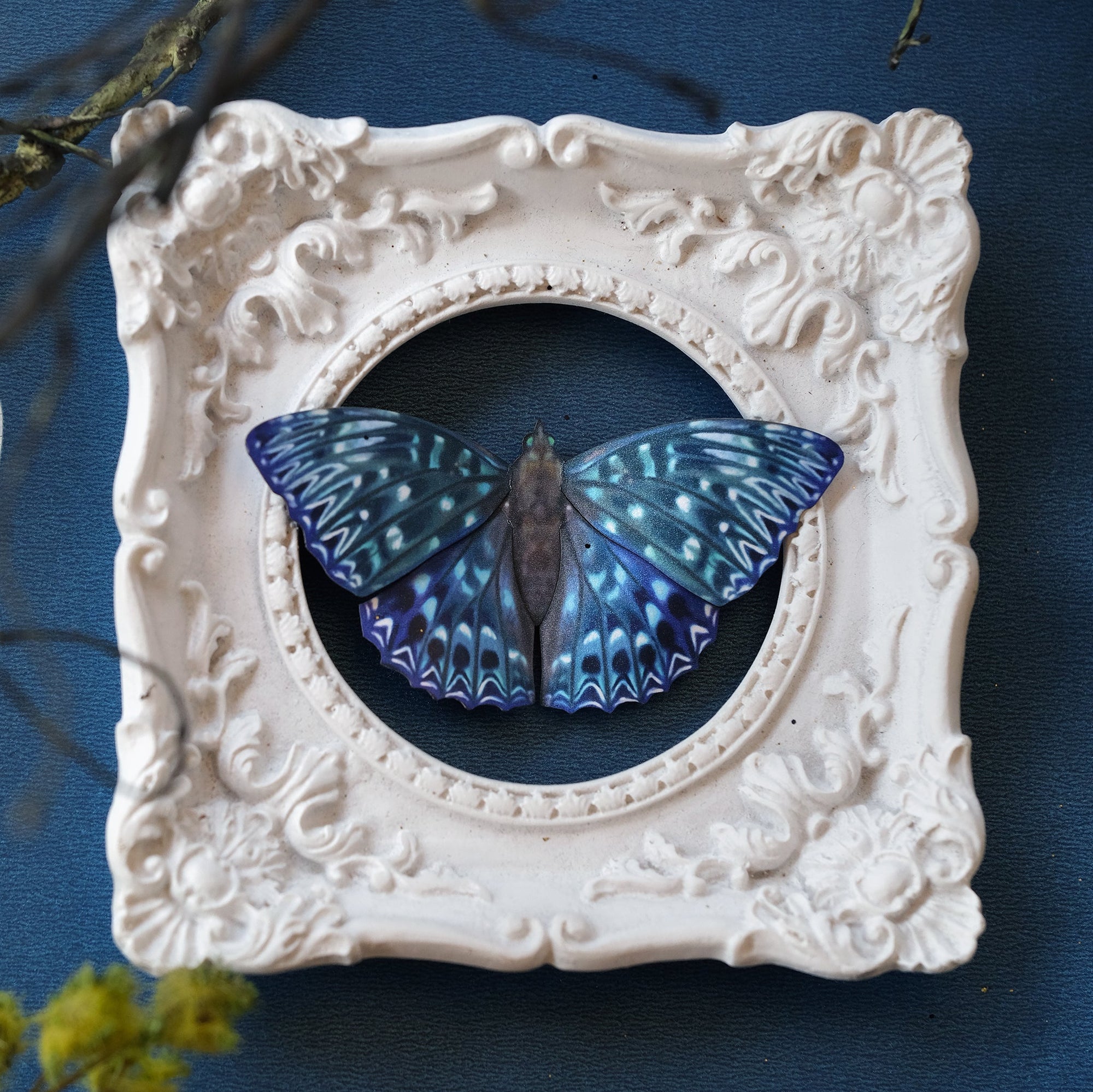 'Celestial' Butterfly Set